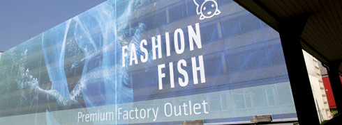 fashionfish